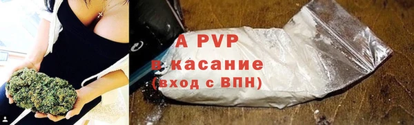 шишки Аша
