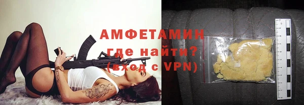 шишки Аша