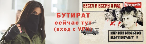 шишки Аша