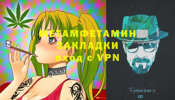 шишки Аша