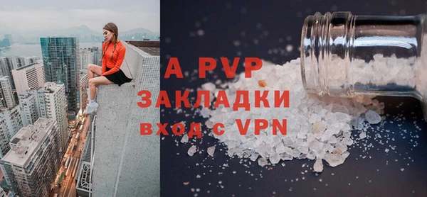 шишки Аша