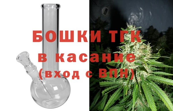 шишки Аша
