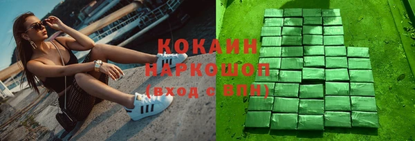 шишки Аша