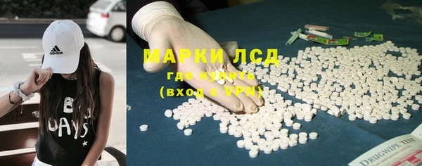 шишки Аша