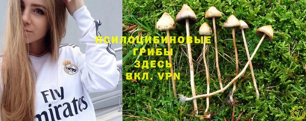 тгк Бабаево