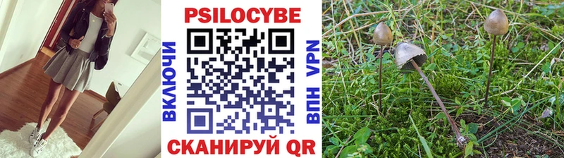 Псилоцибиновые грибы мухоморы  Купить закладки  Лебедянь 